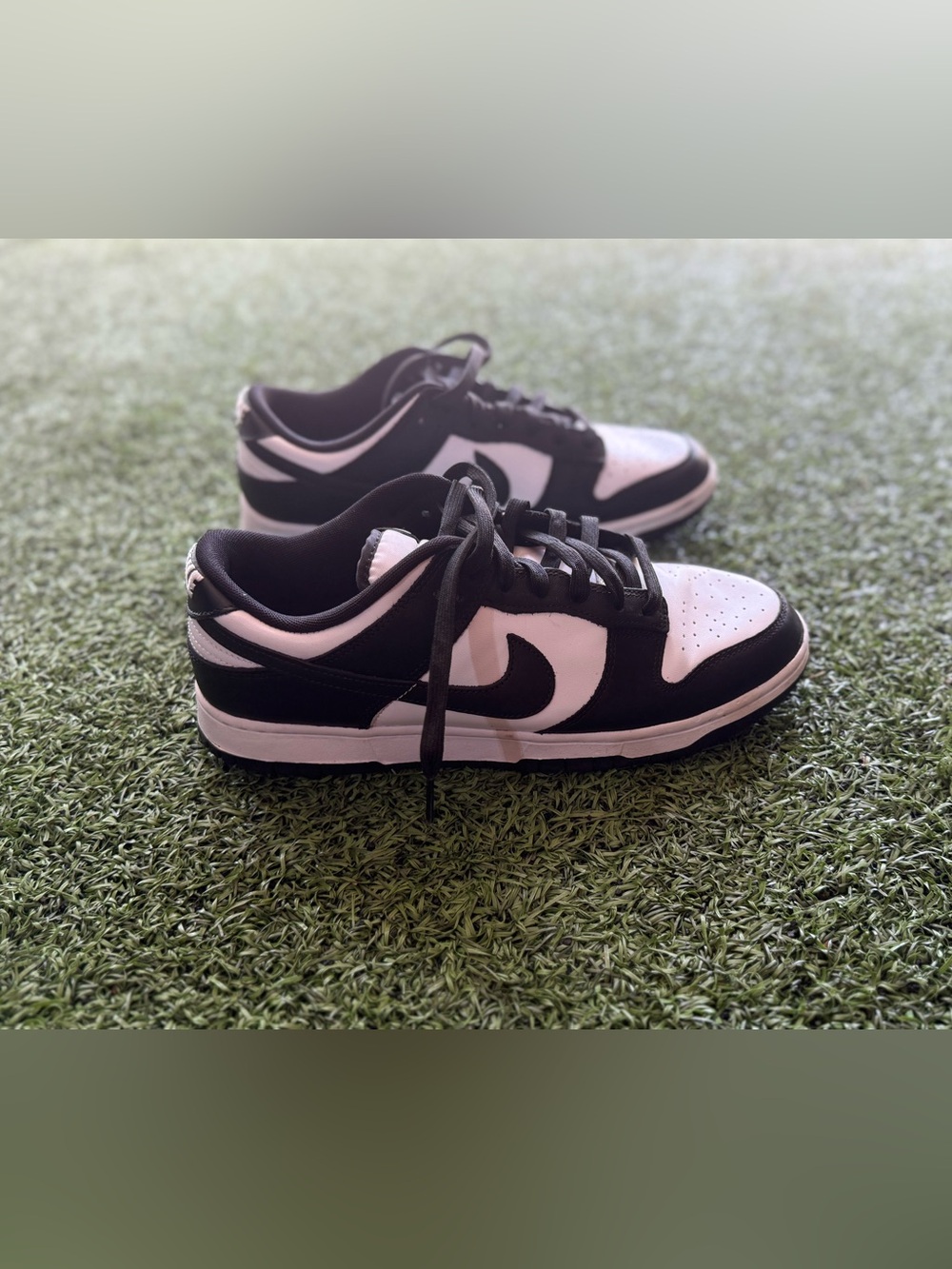 Nike Dunk Low Panda Black and White Men’s